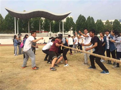 Cache_258e7c5e812f42ea.